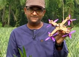 Cientistas desenvolvem drone biodegradável utilizando apenas restos de abacaxi