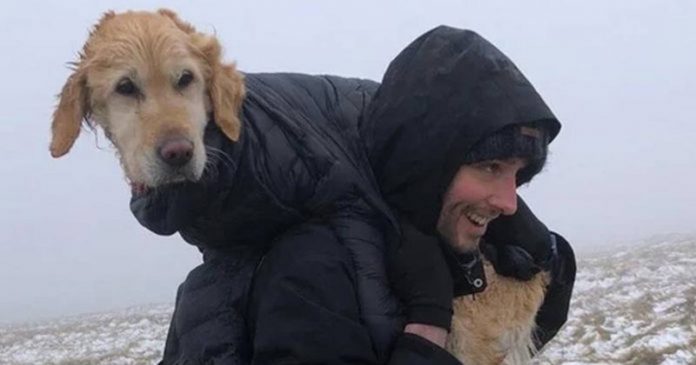 Alpinistas salvam vida de cão perdido que estava montanha, carregando-o nas costas por 10km