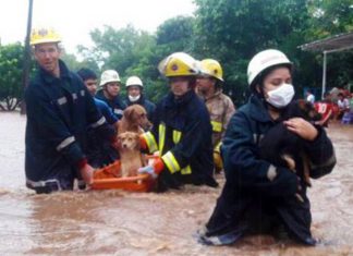 Bombeiros resgatam cães no colo em enchente até serem levados para outro abrigo
