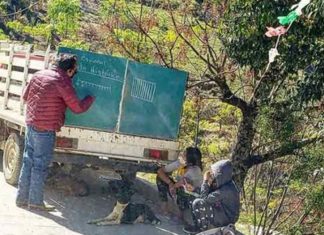 Para dar aulas em área rural na pandemia, professor improvisa lousa na traseira de caminhão