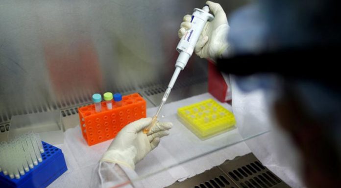 Universidade brasileira está desenvolvendo a primeira vacina nacional contra Covid