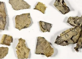 Encontrados no deserto fragmentos de texto bíblico da época de Jesus Cristo