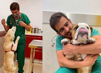 Veterinário faz festa e samba com cão para aplicar vacina: seu amor pelos animais viralizou