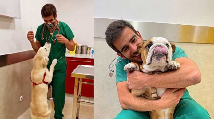 Veterinário faz festa e samba com cão para aplicar vacina: seu amor pelos animais viralizou
