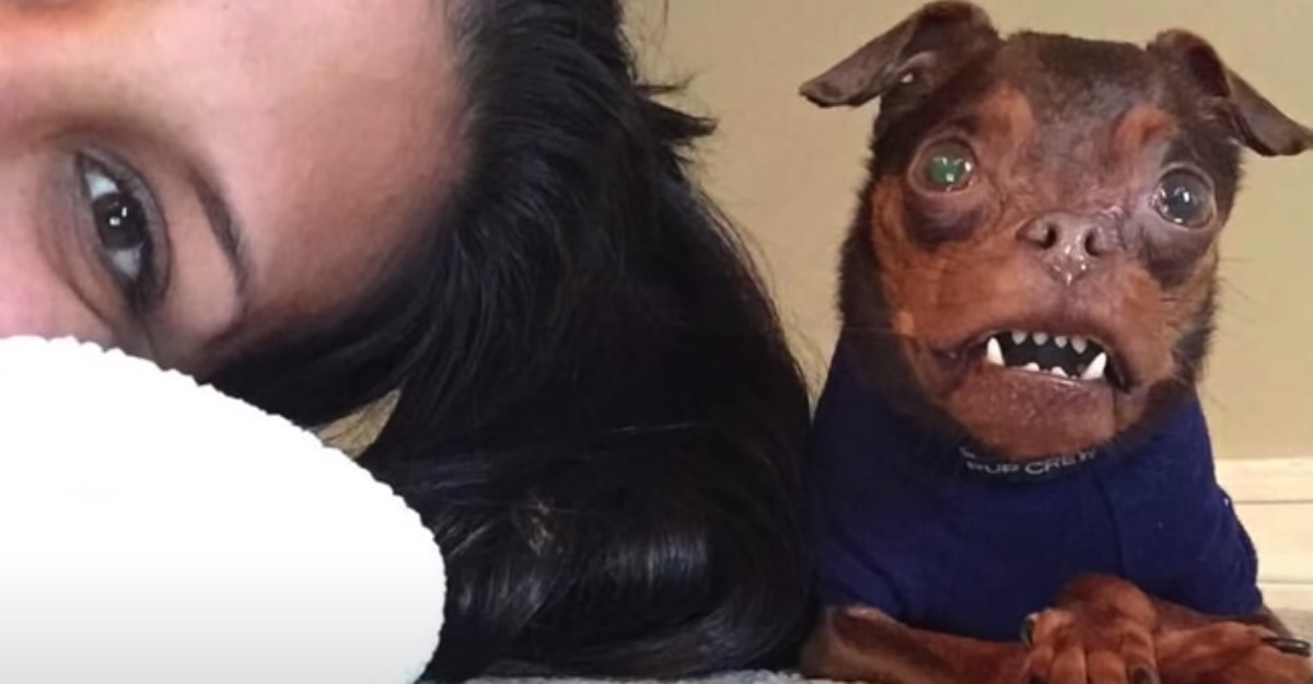 asomadetodosafetos.com - Mulher adota cachorrinho com deformidades que era "o mais feio do abrigo", ela viu sua beleza!