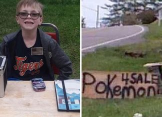 Garotinho vende sua coleção de cartas de Pokémon para salvar a vida de seu cachorro