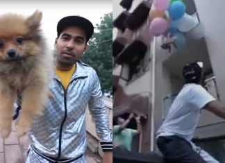 YouTuber é preso após amarrar seu cachorro a balões de gás hélio e soltá-lo no ar; assista