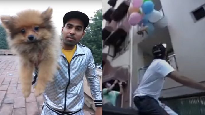YouTuber é preso após amarrar seu cachorro a balões de gás hélio e soltá-lo no ar; assista