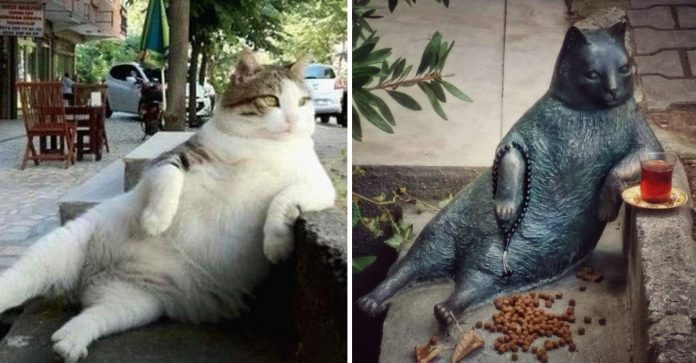Gato que ficava sentado na calçada morre e ganha uma estátua em sua homenagem