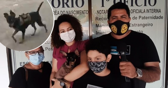 Cãozinho pinscher oficializa sobrenome dos donos em cartório no interior do Amazonas