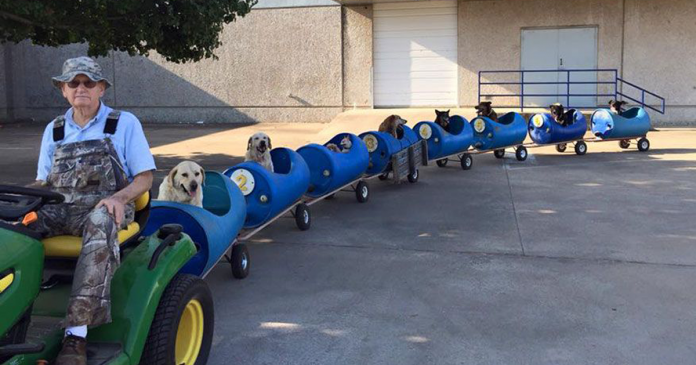 Vovô constrói trem reciclável para passear com seus cães resgatados da rua
