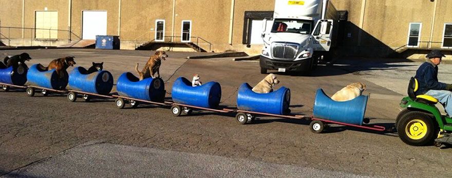 asomadetodosafetos.com - Vovô constrói trem reciclável para passear com seus cães resgatados da rua
