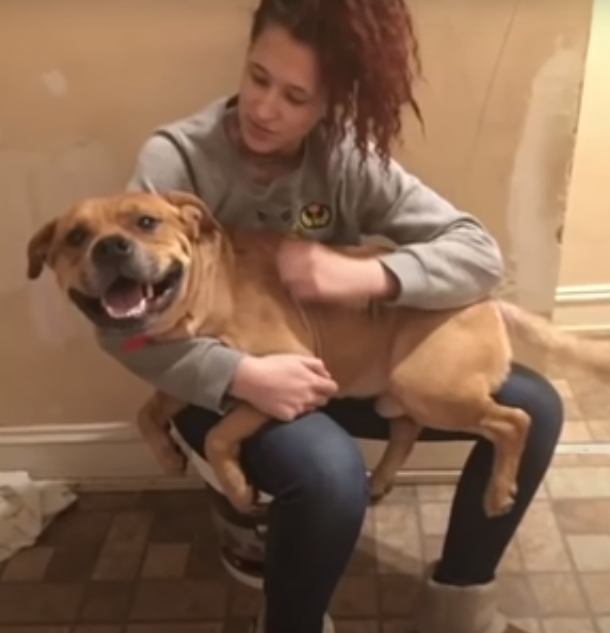 asomadetodosafetos.com - Mulher decide adotar pet e reencontra cãozinho que perdeu há 2 anos; assista