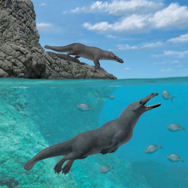 asomadetodosafetos.com - Espécie desconhecida de baleia com quatro pernas é descoberta no Egito