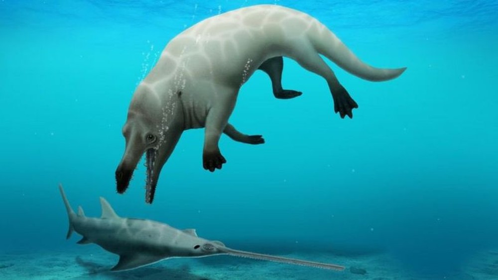 asomadetodosafetos.com - Espécie desconhecida de baleia com quatro pernas é descoberta no Egito