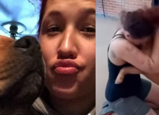 Mulher decide adotar pet e reencontra cãozinho que perdeu há 2 anos; assista