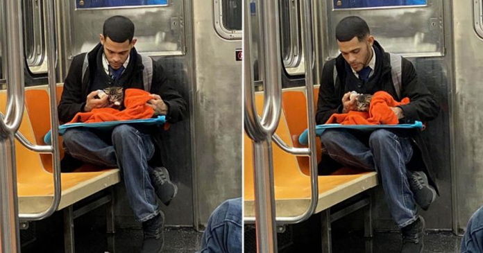 Cena de homem amamentando um gatinho no metrô restaura a fé na humanidade