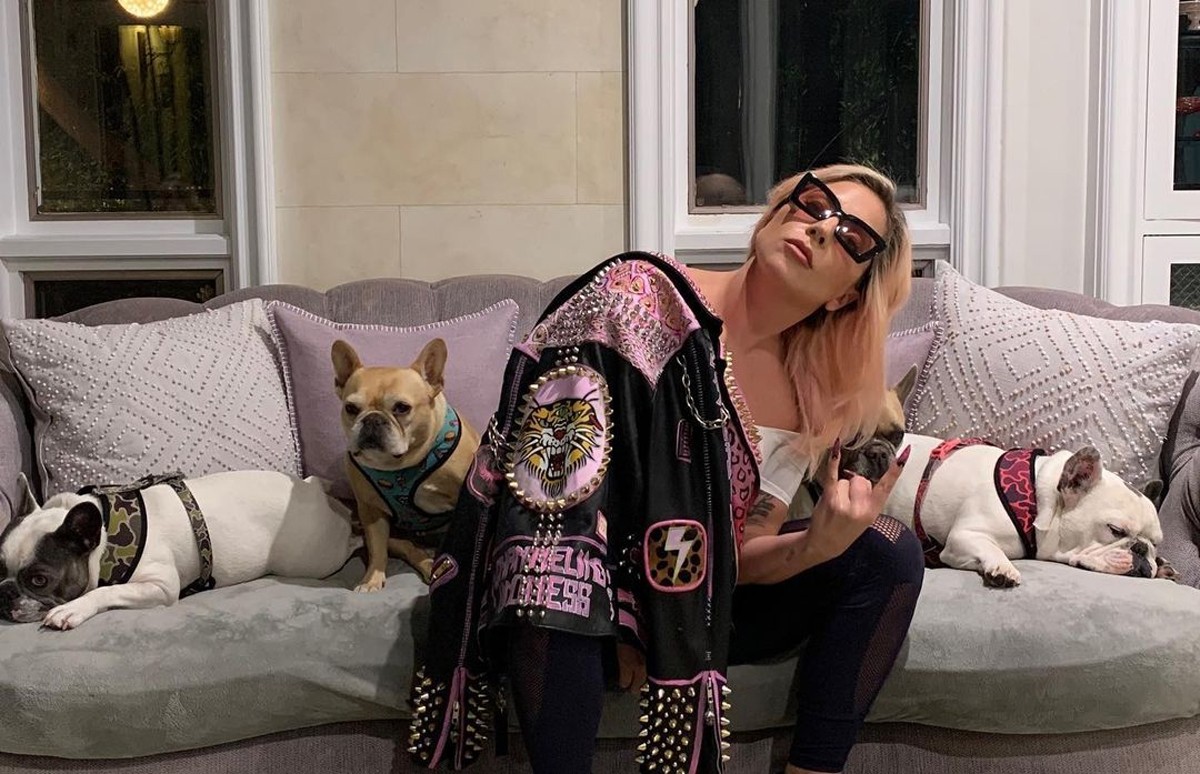 asomadetodosafetos.com - Cuidador de cães de Lady Gaga que foi baleado vive na miséria após sequestro dos pets