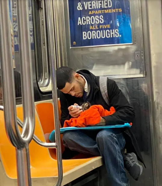 asomadetodosafetos.com - Cena de homem amamentando um gatinho no metrô restaura a fé na humanidade