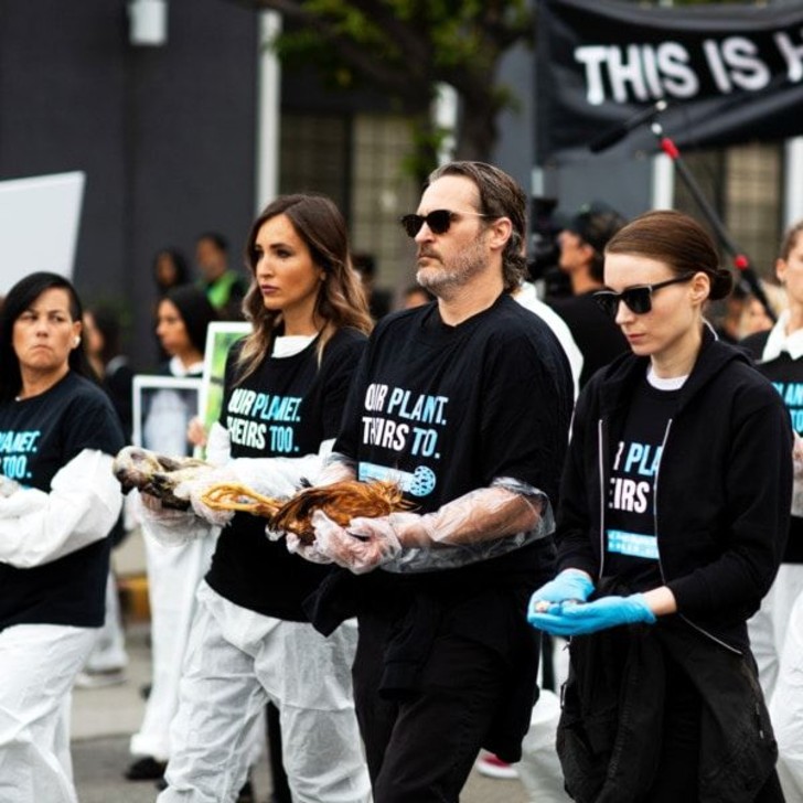 asomadetodosafetos.com - "Espero que ele seja vegano": Joaquin Phoenix não quer que seu filho coma carne