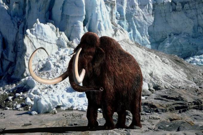 asomadetodosafetos.com - Empresa investe US$ 15 milhões para dar vida a mamute de 10 mil anos atrás