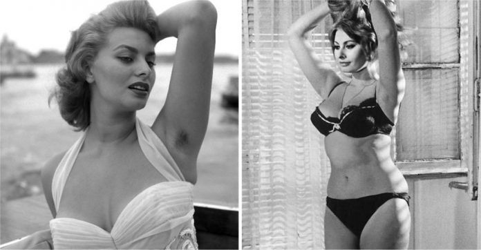 13 fotos de Sophia Loren, a mulher que desafiou os cânones da beleza com seu corpo natural