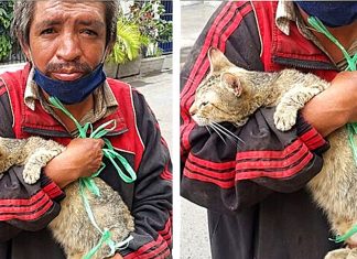 Família pede para morador de rua se desfazer de gatinho, mas ele resolve cuidar do bichano