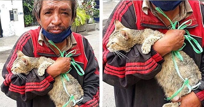 Família pede para morador de rua se desfazer de gatinho, mas ele resolve cuidar do bichano