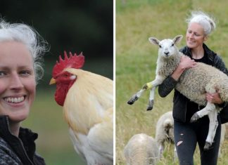 Mulher cria um refúgio para acompanhar animais nos seus últimos anos de vida