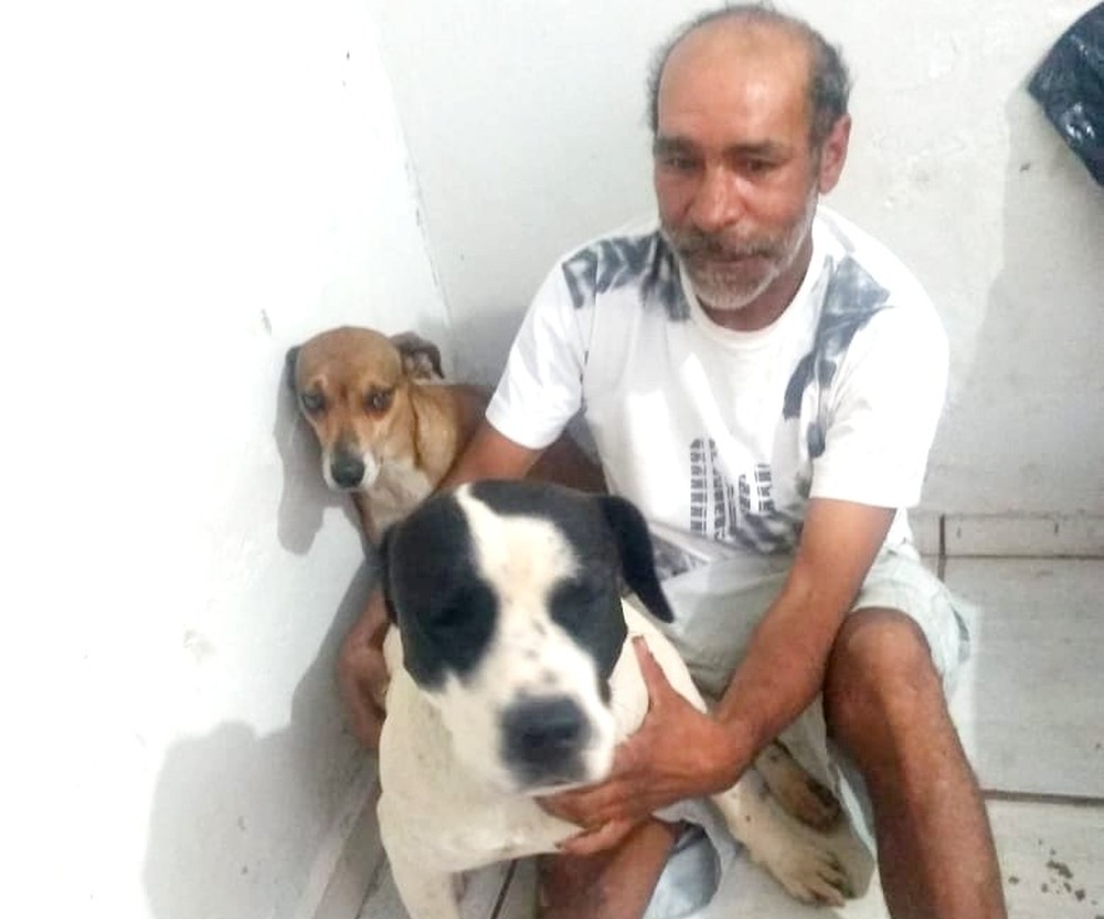 asomadetodosafetos.com - Cães ‘invadem’ ambulância para acompanhar dono e ficam de guarda no hospital