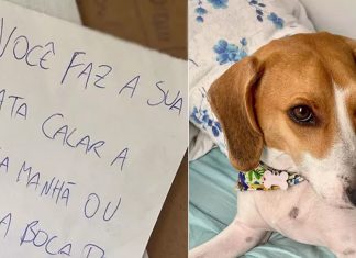 Mulher recebe bilhete de ameaça por conta de latidos de sua cachorrinha: “Estado de choque”