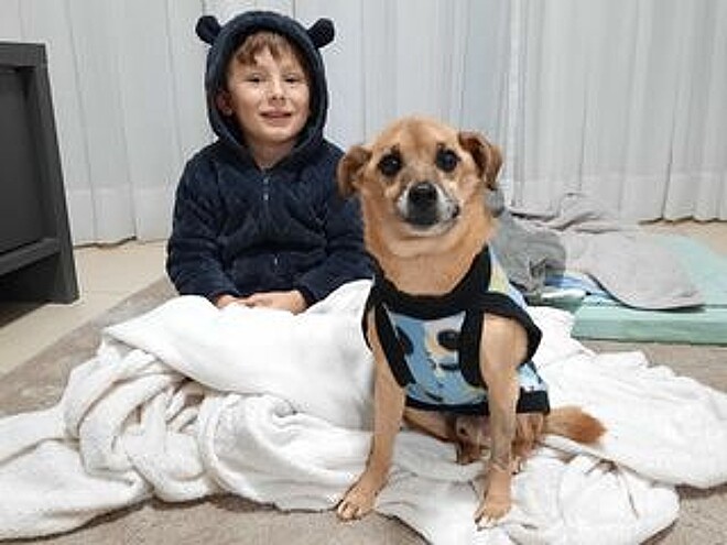 asomadetodosafetos.com - Garotinho faz vídeo emocionante mandando mensagem para seu cão que 'virou estrelinha'