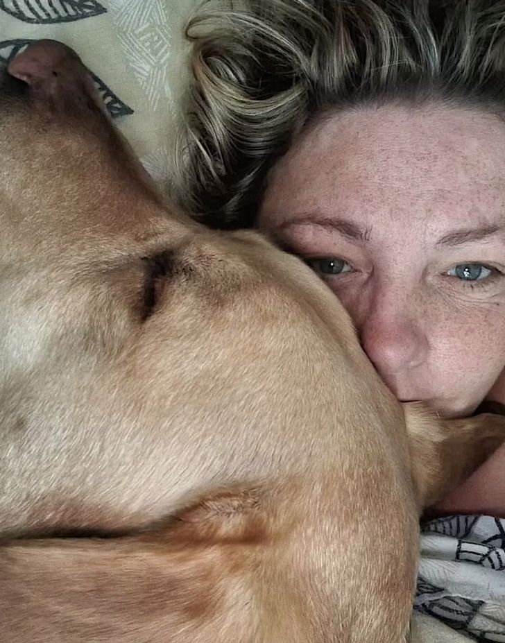 asomadetodosafetos.com - Cãozinho fareja tumor em sua tutora e a salva do câncer: "Sem ele a história seria diferente"