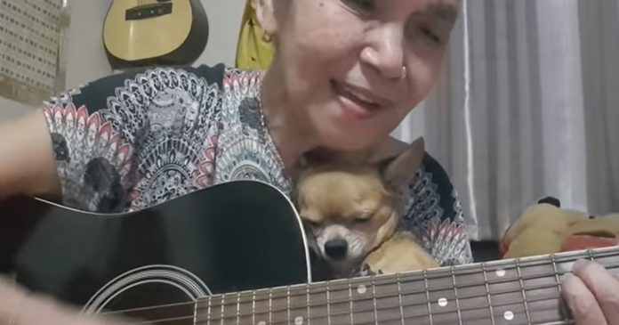 Idosa conquista a web com vídeo cantando para seu cãozinho, que relaxa ao som de sua voz