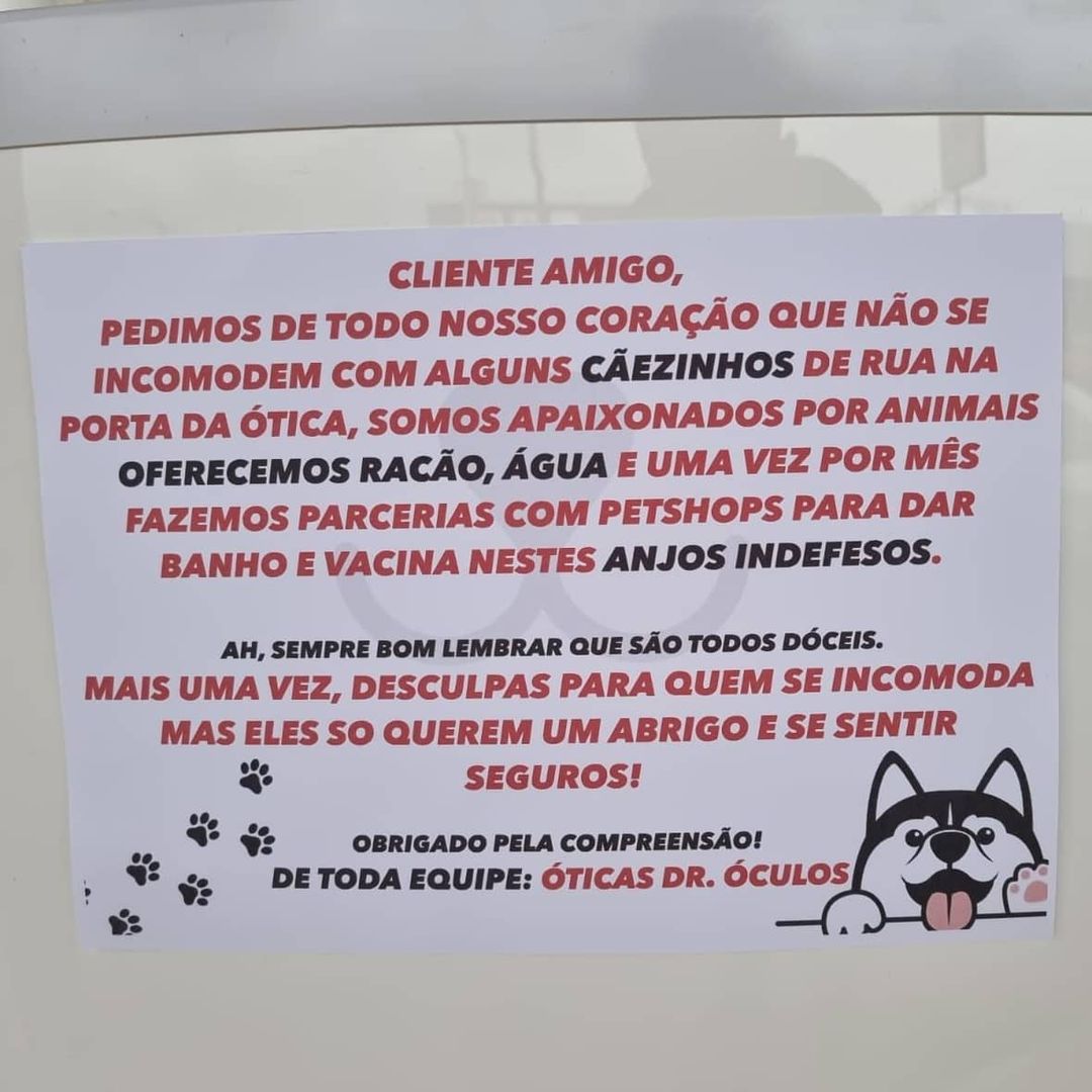 asomadetodosafetos.com - Ótica criticada por acolher animais de rua deixa um recado na entrada e viraliza nas redes sociais