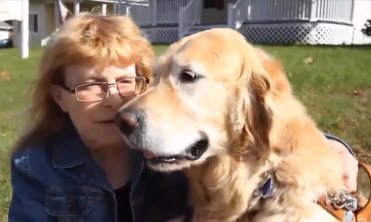 asomadetodosafetos.com - Cachorro se joga na frente de um ônibus para salvar mulher cega de atropelamento