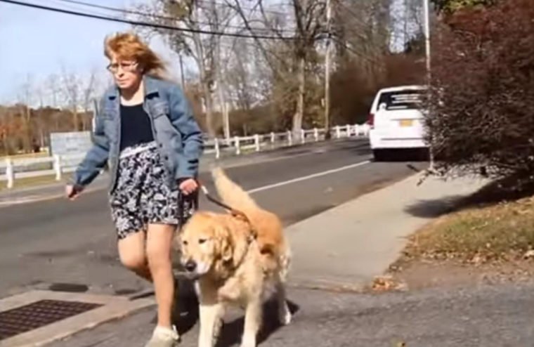 asomadetodosafetos.com - Cachorro se joga na frente de um ônibus para salvar mulher cega de atropelamento