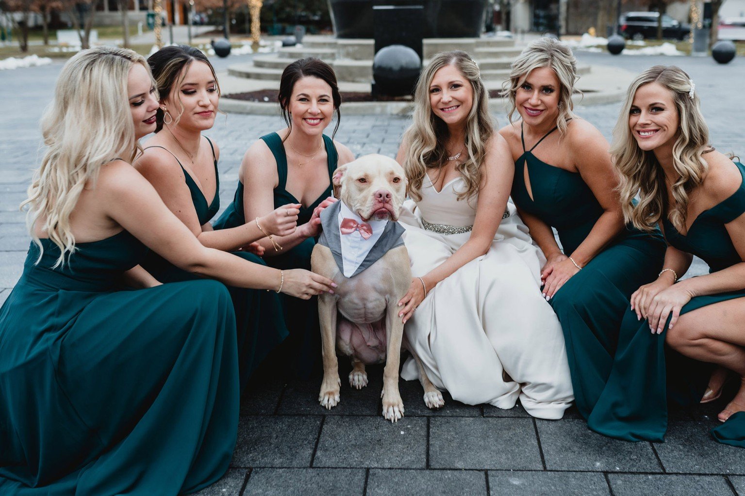 asomadetodosafetos.com - Cãozinho é padrinho de casamento e encanta as fotos da cerimônia; confira!