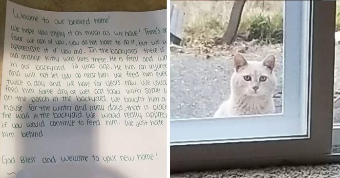Família se muda para casa nova e recebe cartinha avisando de “gatinho fixo” do imóvel