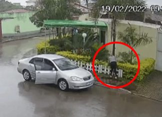 Vídeo flagra mulher roubando plantas ornamentais dos vizinhos e caso termina em polêmica
