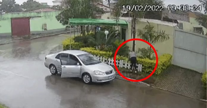 Vídeo flagra mulher roubando plantas ornamentais dos vizinhos e caso termina em polêmica