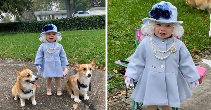 Garotinha de 2 anos se veste como Rainha Elizabeth e recebe carta fofa do castelo de Windsor