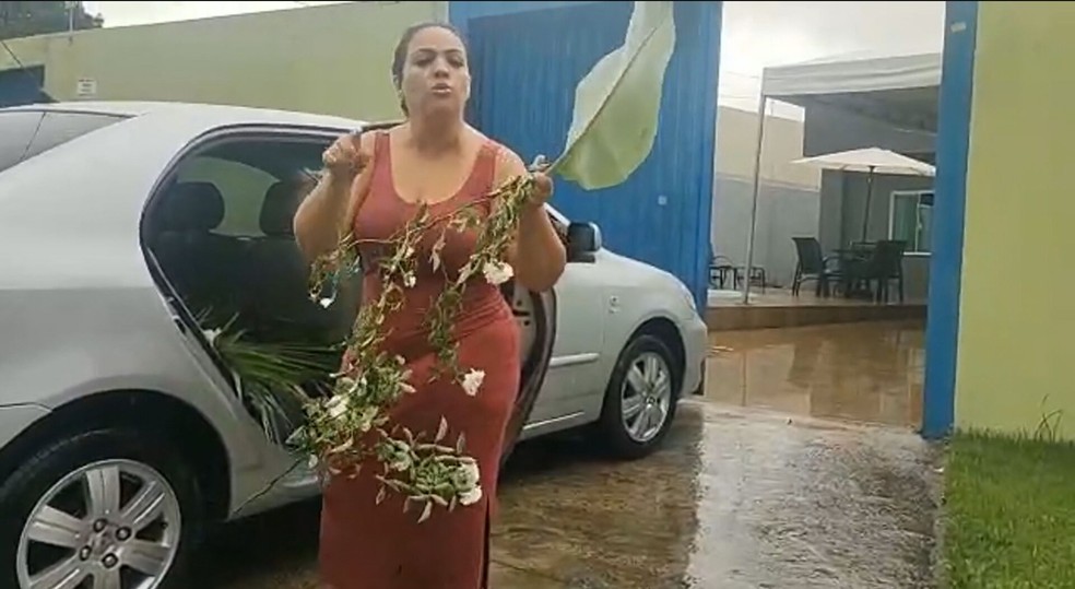 asomadetodosafetos.com - Vídeo flagra mulher roubando plantas ornamentais dos vizinhos e caso termina em polêmica