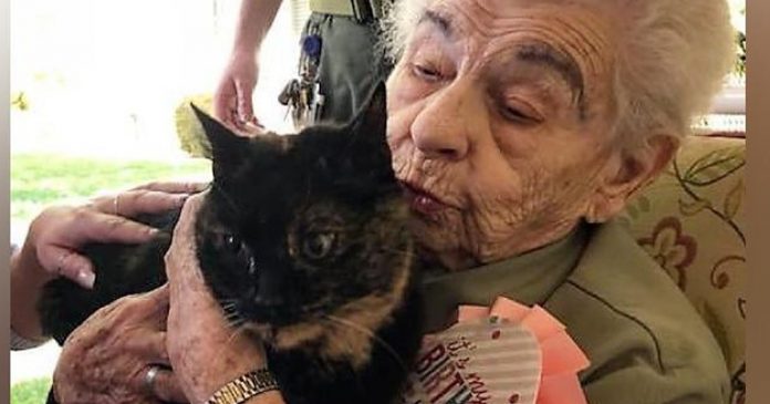 Casa de repouso realiza sonho de idosa de 103 anos presenteando-a com gatinha. Veja fotos!