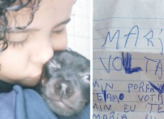 Garotinha escreve carta para sua cachorra desaparecida e comove moradores. Leia!