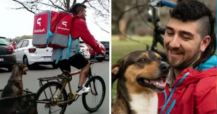 Rapaz adapta bicicleta de delivery para levar seu cãozinho junto no trabalho