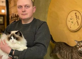 Ucraniano mantém seu ‘Cat Cafe’ aberto para cuidar dos animais e acolher refugiados