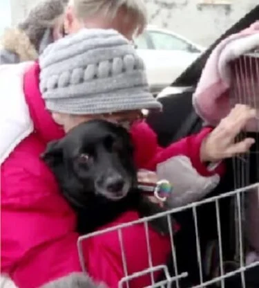 asomadetodosafetos.com - Idosa fugitiva da Ucrânia não contém as lágrimas ao reencontrar sua cachorrinha