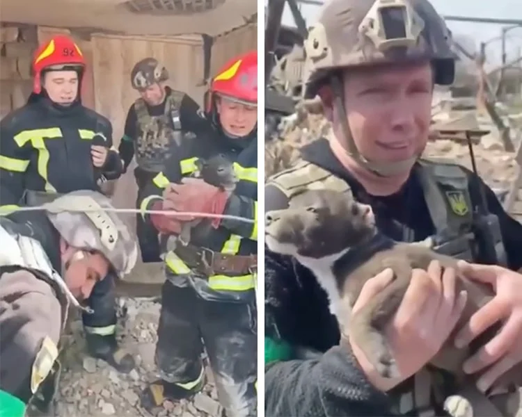 asomadetodosafetos.com - Policia ucraniana salva cãozinho dos destroços e o devolve para tutor de 77 anos