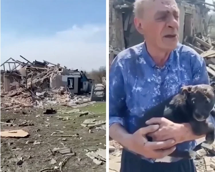 asomadetodosafetos.com - Policia ucraniana salva cãozinho dos destroços e o devolve para tutor de 77 anos